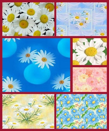 ��������� ���� �������