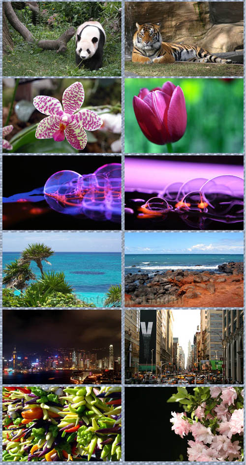 Amazing  Wallpapers Ultimate Collection set 8
