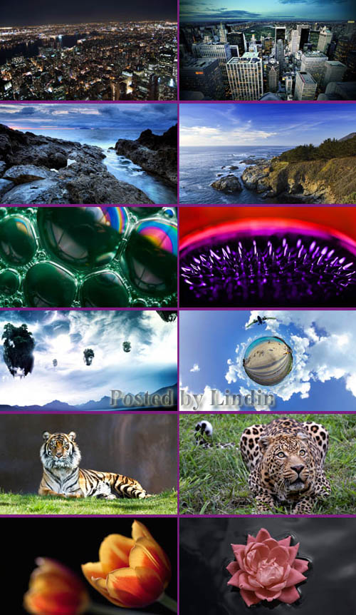 Amazing HD Wallpapers Ultimate Collection set 5