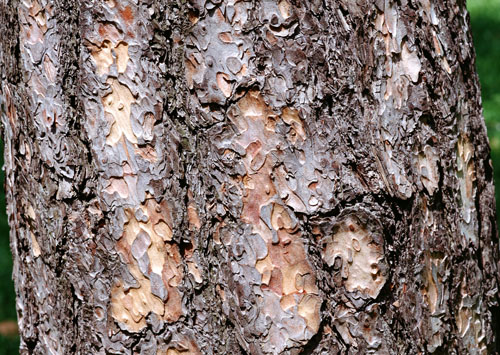 ������������ ������� � ������� - �������� � 6 (������)