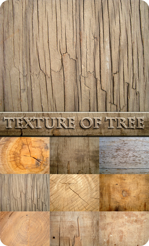 ��������� ���������� �������