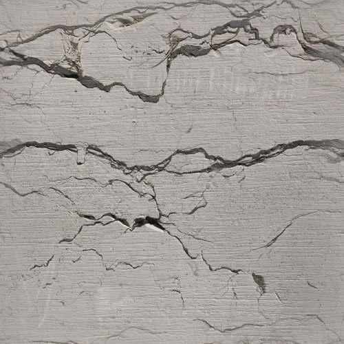 �������� �������� ����