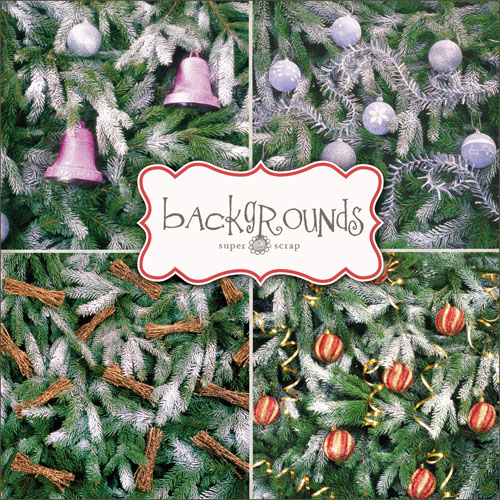 ������ ����