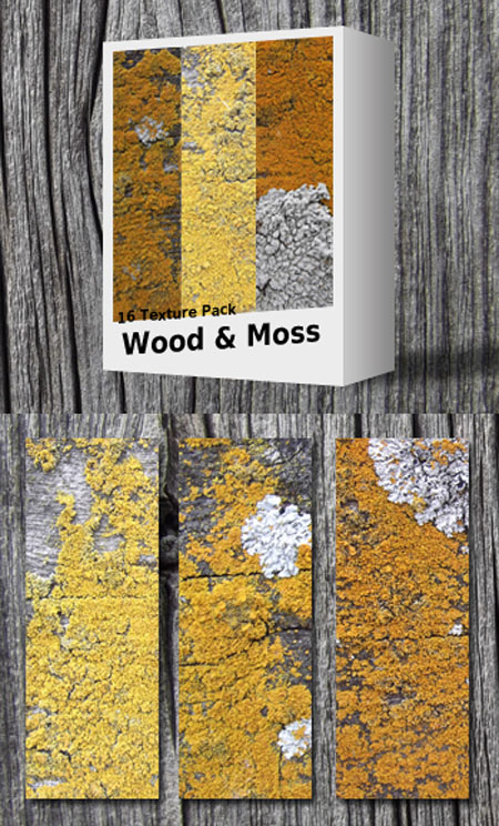Wood and Moss Textures