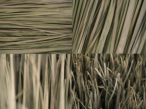 Dried Grass Textures Dried Grass Textures