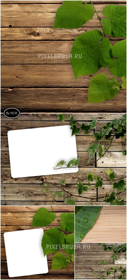 Wood &amp; Leaves Backgrounds