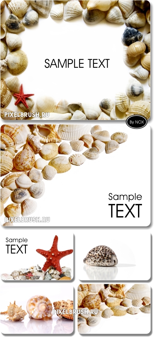 Shells Backgrounds - �������, ���