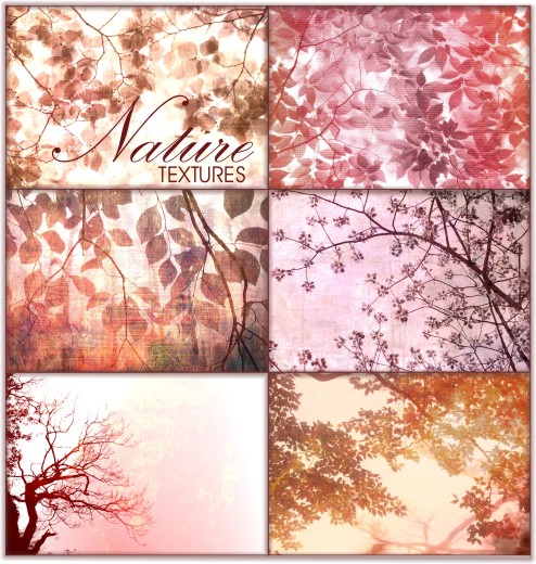 Nature Textures "Branches and Leafs"