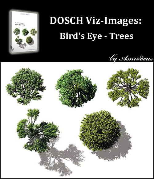 DOSCH Viz-Images: Bird's Eye - Trees