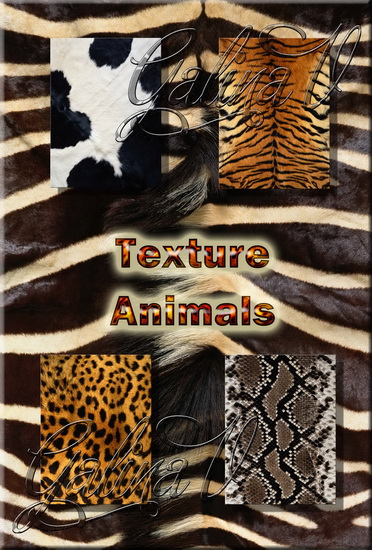 Texture - Animals / �������� ��������