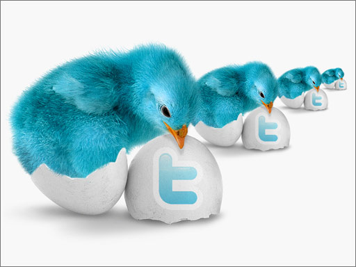 Icon Twitter