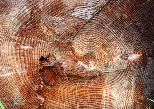 ������������ ������� � ������� - �������� � 6 (������)