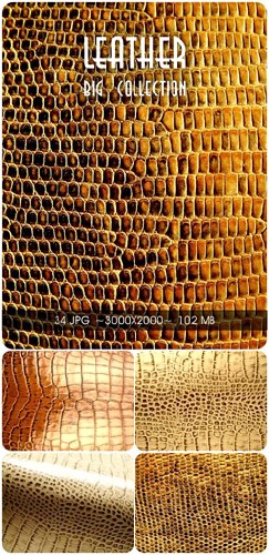 ���� ��������