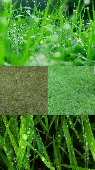 �������� - �����