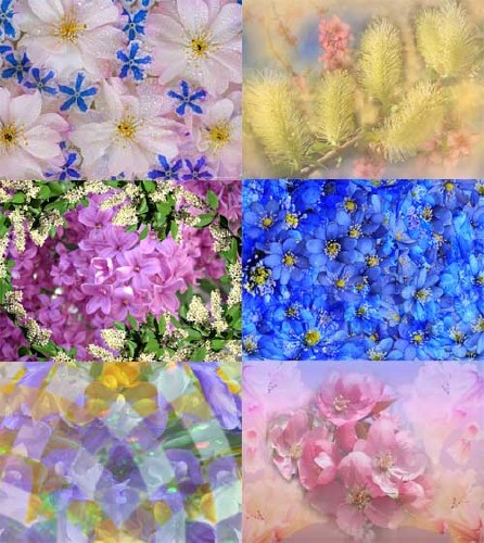 ��������� �������� ����������� ��� ����� �������