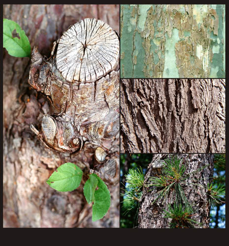 ������������ ������� � ������� - �������� � 6 (������)