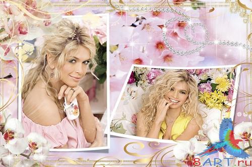 ������� � ��������� ���������� ���� - ��������� �������