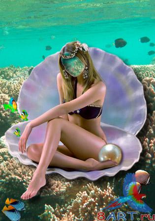 ������ �� �������� - �������