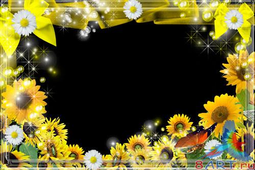 ����� � ��������� ���� - ������� ����� �����������