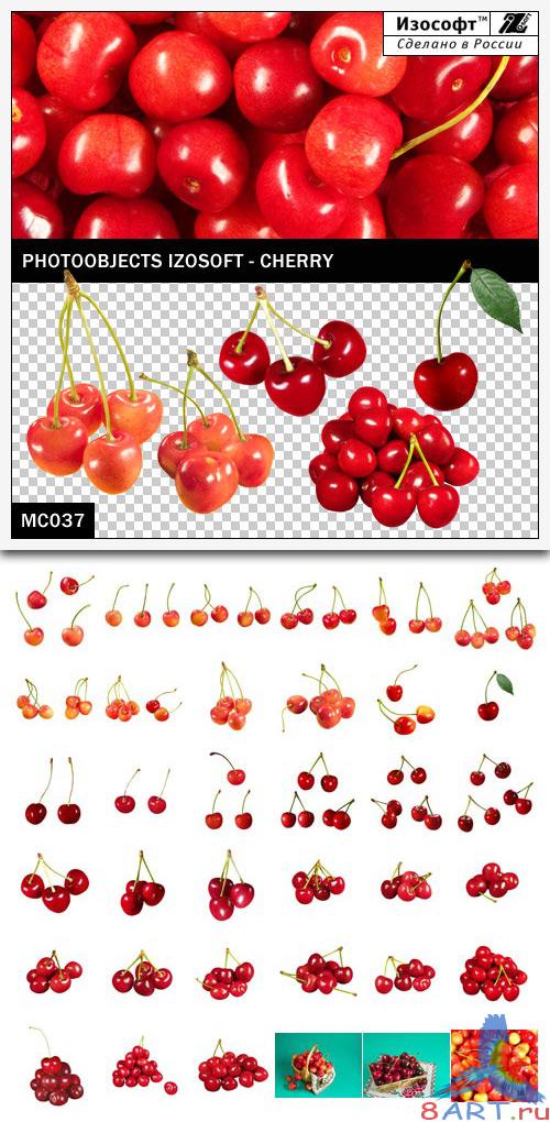 Izosoft - Cherry (MC037)