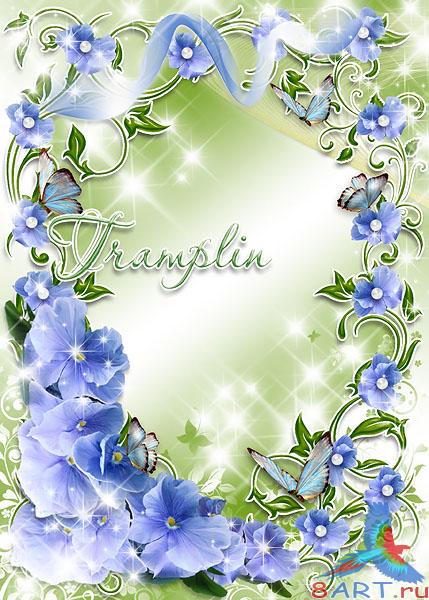 ����� � ����� ���� ���� � ����� ������� � �������� �������