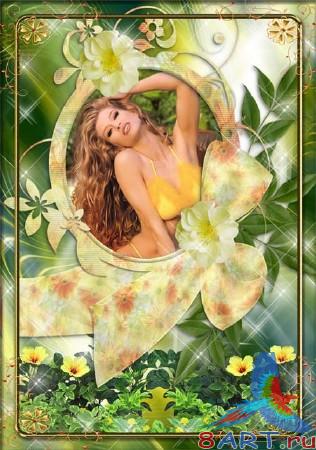 ����� �� ���� - �������� �������