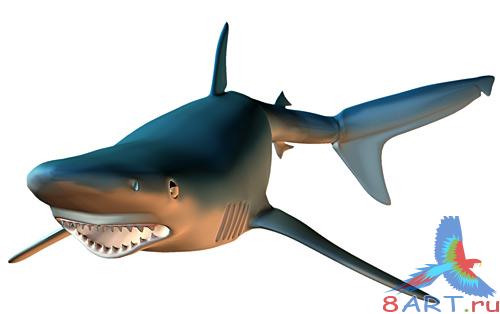 Sea World 1-3 Sea World 1-3