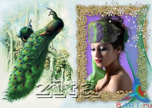 ����� � ����� ���� ����� ���������-2.