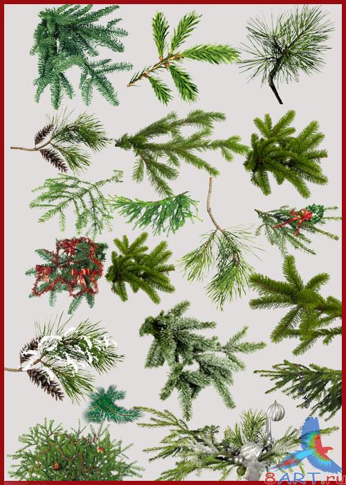 PNG ������� - ������ ����� �������� �������, ����������� �����