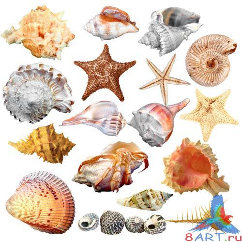 ��������� �������-������� ����� ����� �������