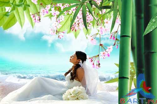 �������� - ������� � ������������ �������