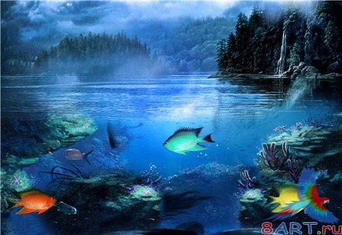 PSD - Night Forest Lake