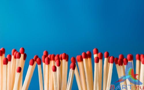 SuperMacro Wallpapers