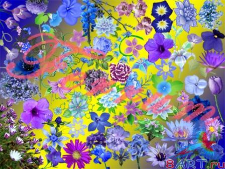 ������� ����� "����� ������"