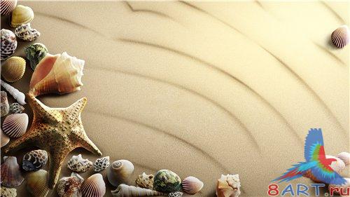 PSD - Seashells and starfish on the sand