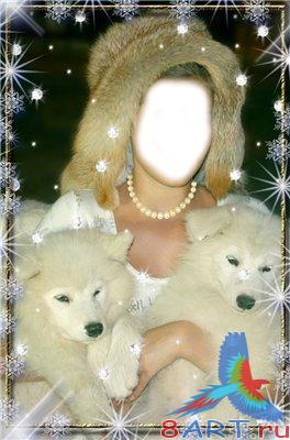 ������ � ����� ������� - ������� �� ��������