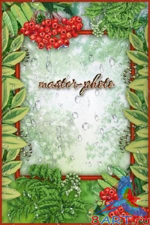 ����� ���� �������� � ����� �����