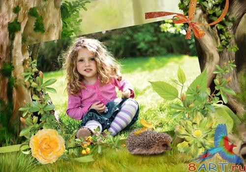 PSD frame - In the forest