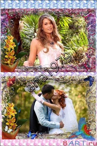 ����� � ������ ���� ������� - ������ �������