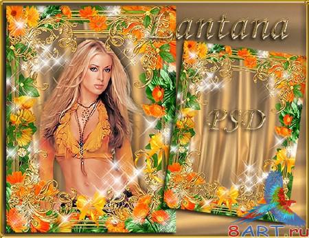 ����� � ���� - ��������� ����������