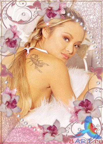 ������� �� ���� - ������� �������