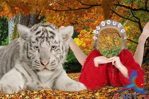 ������ � ����� �������� -C ���������