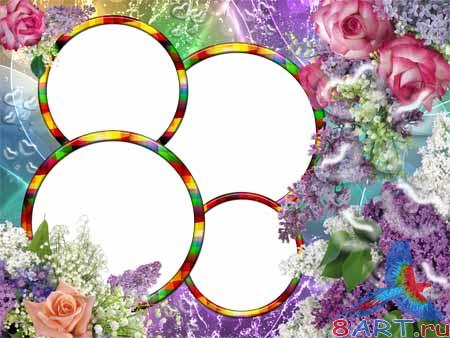 ����� � ���� - ����� �� ������