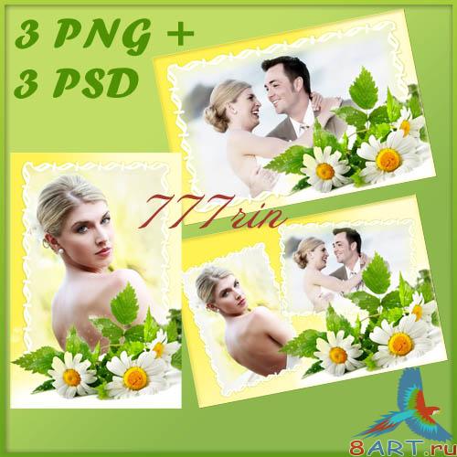 ������� ��������� ����� � ������ �������