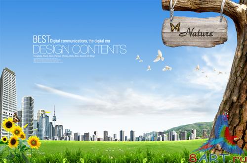 Source - Beautiful spring nature