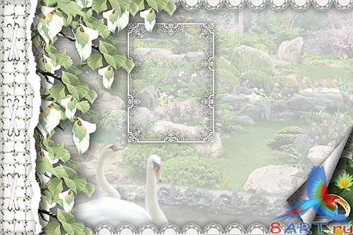 ��������� ���������� "�����"