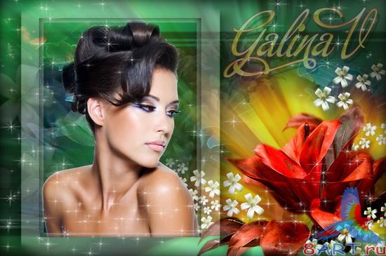 ����� � ��������� ���� - ������ ��������