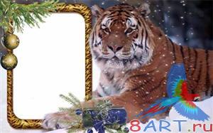 ����� ���� ���� � ����