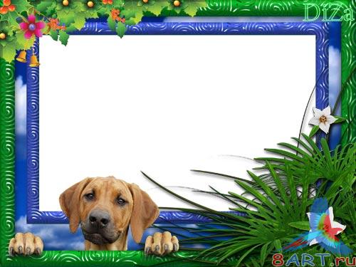 ������ �������