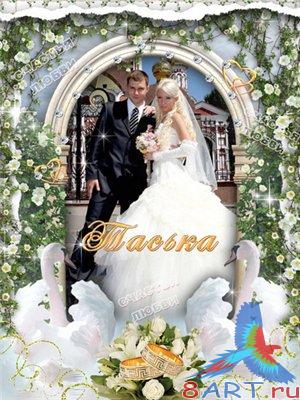 ��������� - ������ ������